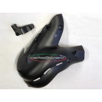 Carbonvani - Ducati Panigale / Streetfighter V4 / S / Speciale Carbon Fiber Exhaust Collector Guard Kit (OE Euro 4 Exhaust)